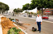 El concejal de Parques y Jardines de Arrecife, Roberto Herbón, supervisa el trasplantado de los nuevos árboles laures de India en la Vía Medular 