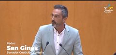 Pedro San Ginés durante su intervención en el Senado.