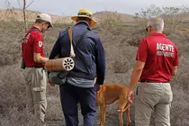 Agentes Medioambiente del Cabildo en Haría.