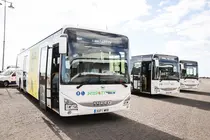 Guaguas interurbanas.