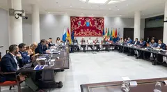 Imagen del encuentro de la Comisión de Sanidad en el Parlamento de Canarias.