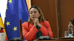 Mar&iacute;a Dolores Corujo en un pleno del Cabildo