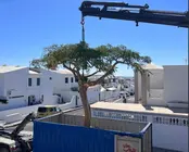 Imagen de uno de los traslados que se ha realizado.