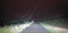 Imagen de un poste de la luz arrancado por el viento en una carretera de Teguise esta madrugada.