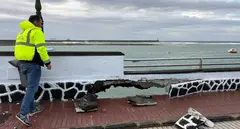 Yonathan de Le&oacute;n junto al muro del parque Jos&eacute; Ram&iacute;rez Cerd&aacute;.