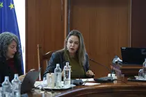 Mar&iacute;a Dolores Corujo en un pleno del Cabildo