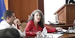 Ariagona Gonz&aacute;lez en una intervenci&oacute;n en un pleno del Cabildo de Lanzarote.