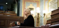 Cristina Valido en el Congreso de los Diputados.