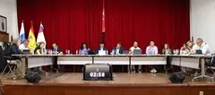 Pleno del Ayuntamiento de Yaiza.