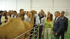 V Feria de Ganader&iacute;a, Agricultura y Pesca de Teguise.