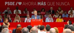 &Aacute;ngel V&iacute;ctor Torres en el congreso Federal de este s&aacute;bado en Madrid