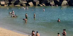 Aguas de playa Flamingo con un color verde generado por la proliferaci&oacute;n de microalgas.