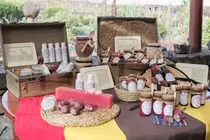 Nuevos productos de los CACT.