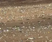 Bolsas en la zona de Zonzamas.