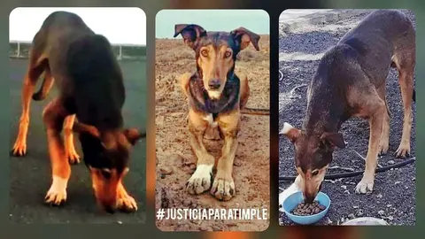 IMG_20200814_003828_526