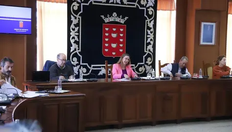 Imagen del pleno celebrado este lunes en el Cabildo
