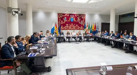 Imagen del encuentro de la Comisión de Sanidad en el Parlamento de Canarias.