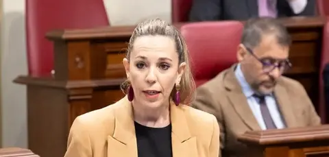 La consejera de Turismo en una imagen de archivo durante una intervenci&oacute;n en el Parlamento de Canarias. 