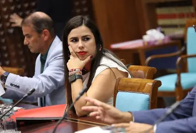 Alicia P&eacute;rez, parlamentaria lanzarote&ntilde;a del PSOE.