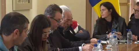 Imagen de un pleno celebrado recientemente en Har&iacute;a. 