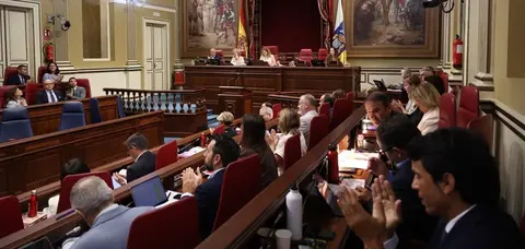 Parlamento de Canarias aprobando la votaci&oacute;n.