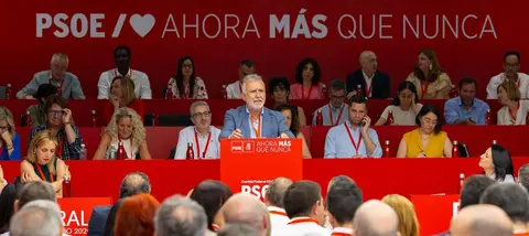 &Aacute;ngel V&iacute;ctor Torres en el congreso Federal de este s&aacute;bado en Madrid