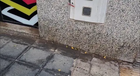 Suciedad en una de las calles de Arrecife generada por la orina de los perros.