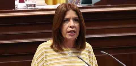 La diputada de Nueva Canarias este mi&eacute;rcoles en el Parlamento.