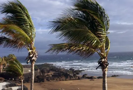 Alerta por fenómenos costeros en Canarias.