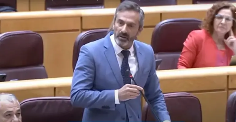 Pedro San Ginés en una de sus intervenciones en el Senado.