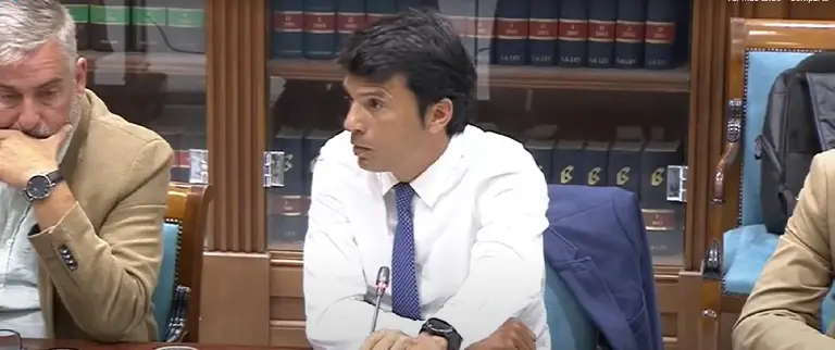 Marcos Bergaz durante su intervención en una comisión del Parlamento de Canarias.
