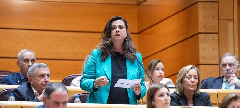 Imagen de la representante del PP preguntando al Gobierno.