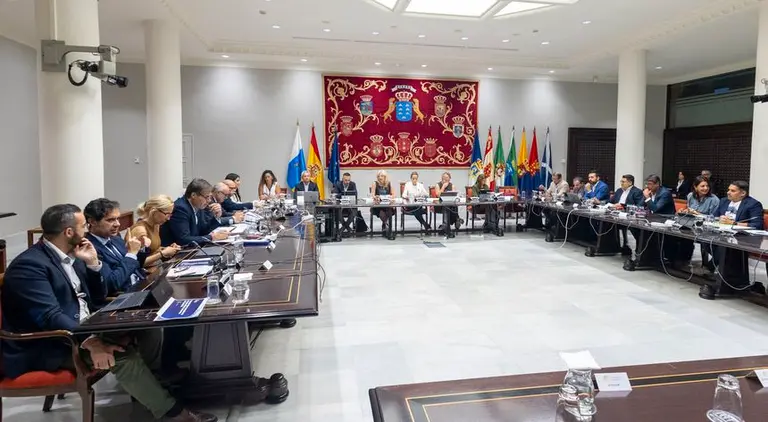 Imagen del encuentro de la Comisión de Sanidad en el Parlamento de Canarias.