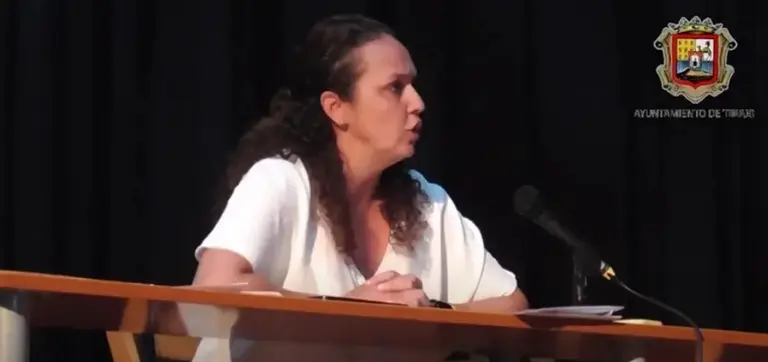 Begoña Hernández en un pleno anterior. 