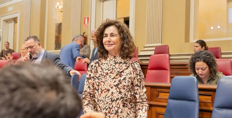 La consejera de Hacienda este miércoles en el Parlamento de Canarias.