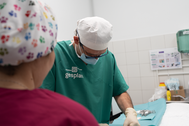 Veterinario de GESPLAN realizando su labor.