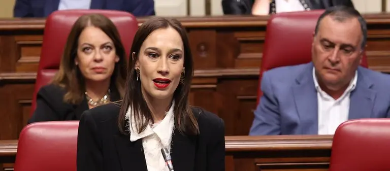 La diputada del PSOE durante su intervención.