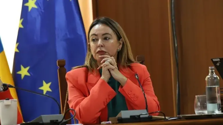 Mar&iacute;a Dolores Corujo en un pleno del Cabildo