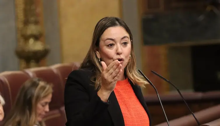 Mar&iacute;a Dolores Corujo en el Congreso de los Diputados