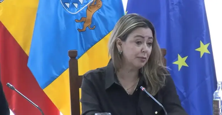 La secretaria general del PSOE de Lanzarote este viernes en el pleno del Cabildo.
