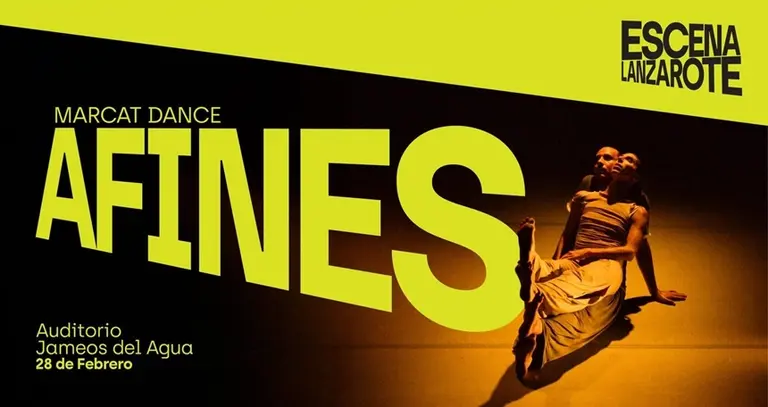 Cartel promocional de Afines.