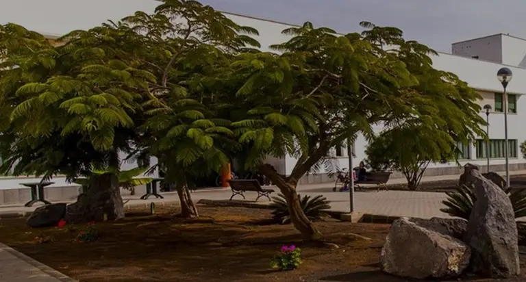 Imagen de la residencia que gestiona Amavir en T&iacute;as.