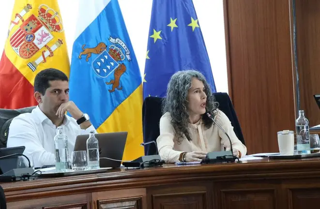 Benjam&iacute;n Perdomo y Ariagona Gonz&aacute;lez en un pleno del Cabildo