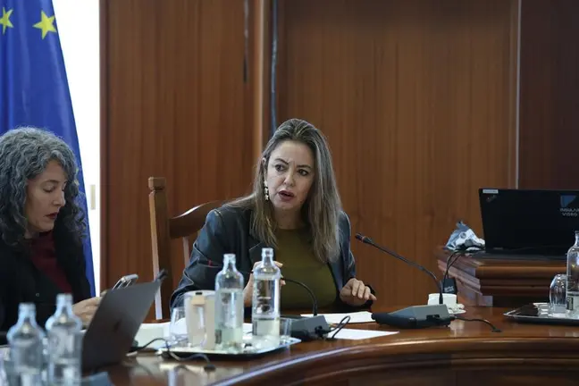 Mar&iacute;a Dolores Corujo en un pleno del Cabildo