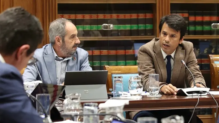 Marcos Bergaz (PSOE) durante una pregunta parlamentaria al consejero de Vivienda Pablo Rodri&igrave;guez.