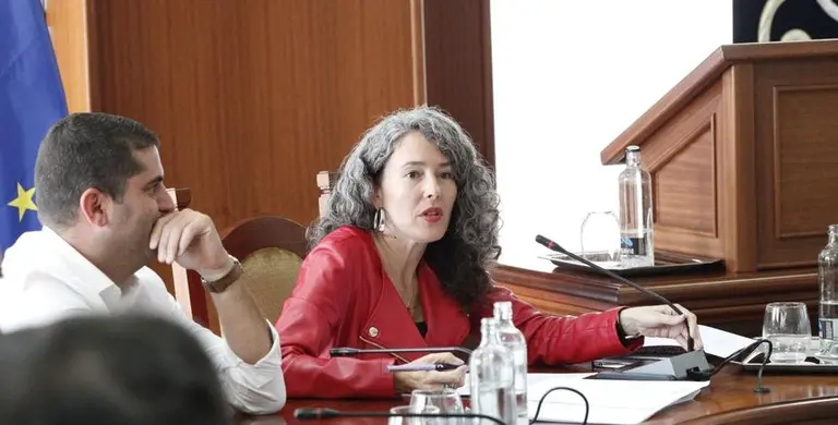 Ariagona Gonz&aacute;lez en una intervenci&oacute;n en un pleno del Cabildo de Lanzarote.
