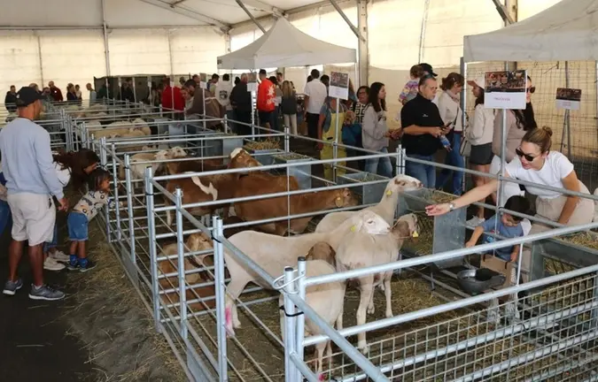 Imagen de archivo de la Feria de Ganado de Uga.