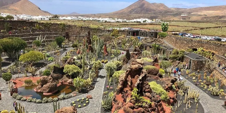 Jard&iacute;n de Cactus.