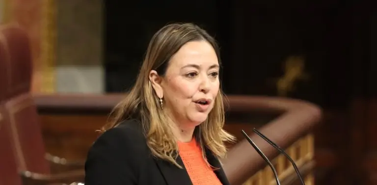 Mar&iacute;a Dolores Corujo en el Congreso de los Diputados.