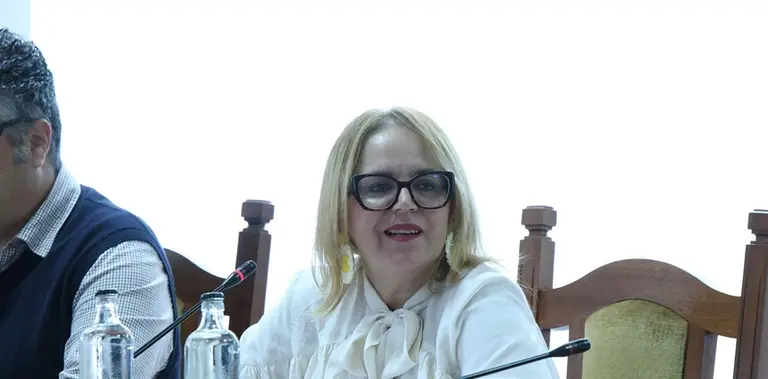 Nori Mach&iacute;n en el Pleno del Cabildo.